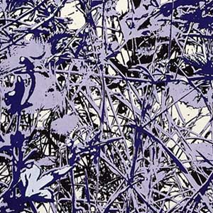 2020, 4-farbiger Siebdruck, 50 x 70 cm
