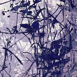 2020, 4-farbiger Siebdruck, 50 x 70 cm
